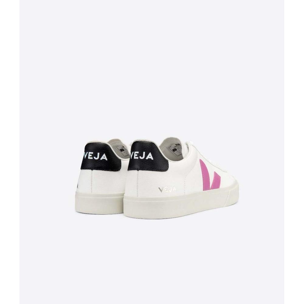 Low Tops Sneakers Dama Veja CAMPO CHROMEFREE White/Purple | RO 597FDN